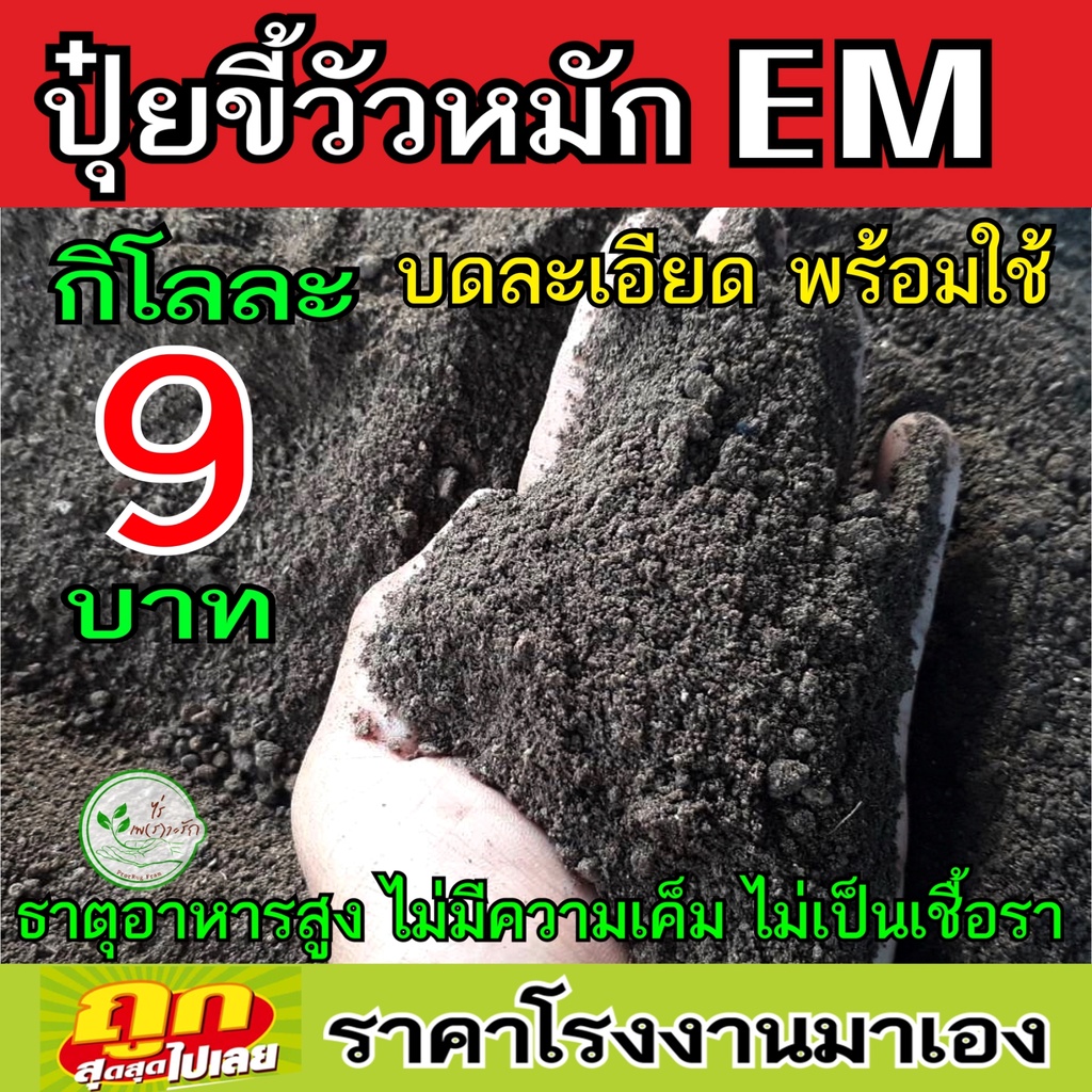 My Image 17