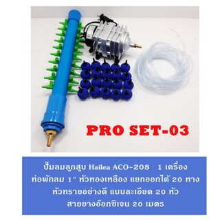 ชุดปั๊มลมลูกสูบ Hailea ACO-208 พร้อมอุปกรณ์ PRO SET 03