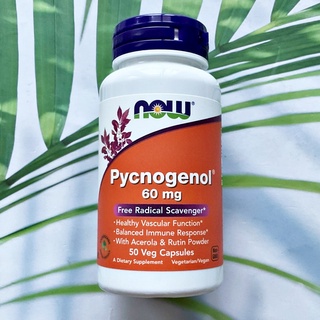 Pycnogenol สารสกัดจากเปลือกสนฝรั่งเศส 60mg 50 Veggie Caps (Now Foods®) ฝ้าจาง ช่วยปรับสภาพผิวที่หมองคล้ำ กระ ฝ้า สีผิวไม