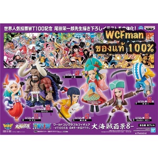 One Piece WCF WT100 vol.8 (วันพีซ WCF set WT100 งานลิขสิทธิ์จากค่าย Banpresto แบรนด์ลูก Bandai)