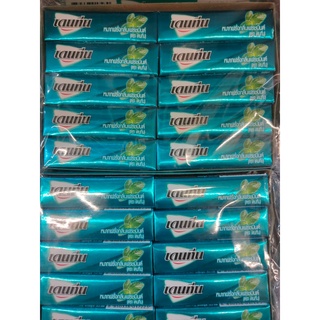 เดนทีน สติ๊ก หมากฝรั่ง กลิ่นเฟรชมินต์ 13.5 กรัม แพ็ค 20 แท่ง ปากหอมสดชื่น Dentyne Stick Chewing Gum Fresh Mint Scent 13.