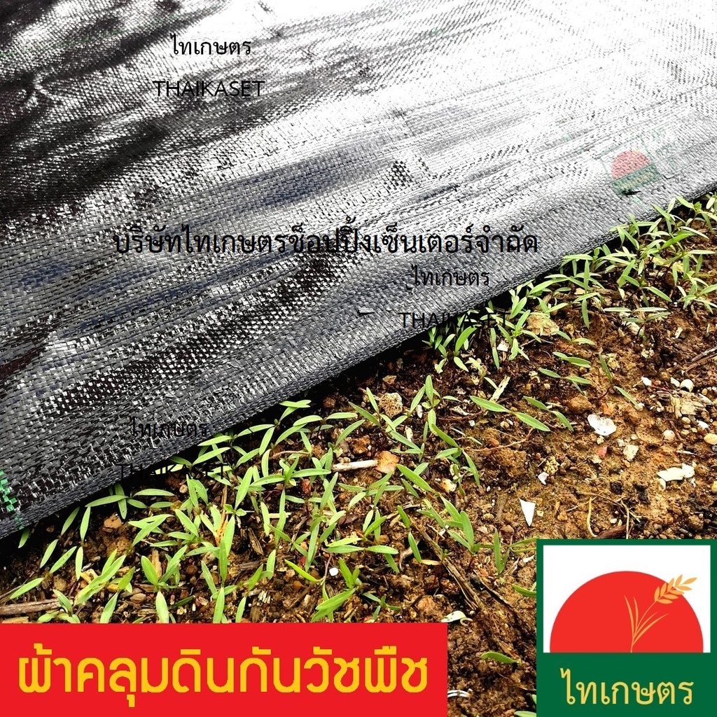 พลาสติกคลุมดิน กันหญ้าขึ้น ผ้าคลุมดิน กำจัดวัชพืช ปูพื้นสวน พื้นโรงเรือน น้ำผ่านได้ ยาว 10 เมตร