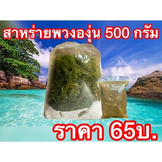 สาหร่ายพวงองุ่น 500 กรัม ราคา 65บ พร้อมน้ำจิ้มซีฟู๊ด