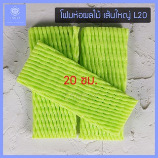 โฟมห่อผลไม้ สีเขียว เส้นใหญ่ L ยาว 20ซม. (แพค 100ชิ้น)