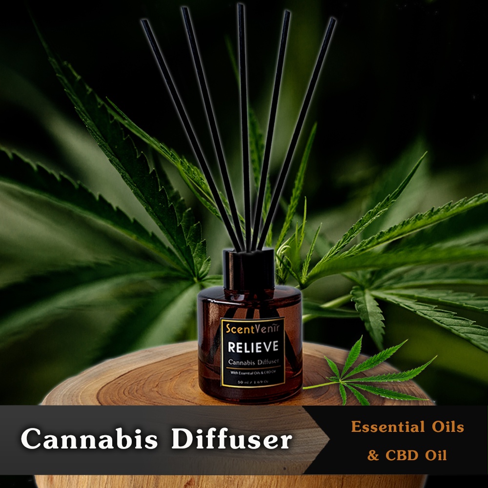 ก้านไม้หอม ไม้หวายกระจายกลิ่น ปรับอากาศ กลิ่น กัญชา Cannabis Reed Diffuser ผสม น้ำมัน CBD Oil ใช้ได้นาน 1-2 เดือน