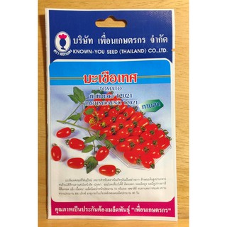 เมล็ดมะเขือเทศเชอร์รี่ ทับทิมแดง ทานสด ติดผลดก ผลผลิตสูง ผลยาวรีสีแดงสด เนื้อหนา เมล็ดน้อย รสชาติดี ทนโรค ทนต่อการขนส่ง