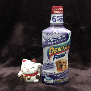 Dental Fresh for Dog สูตร Advanced Plaque&amp;Tartar ขนาด17oz