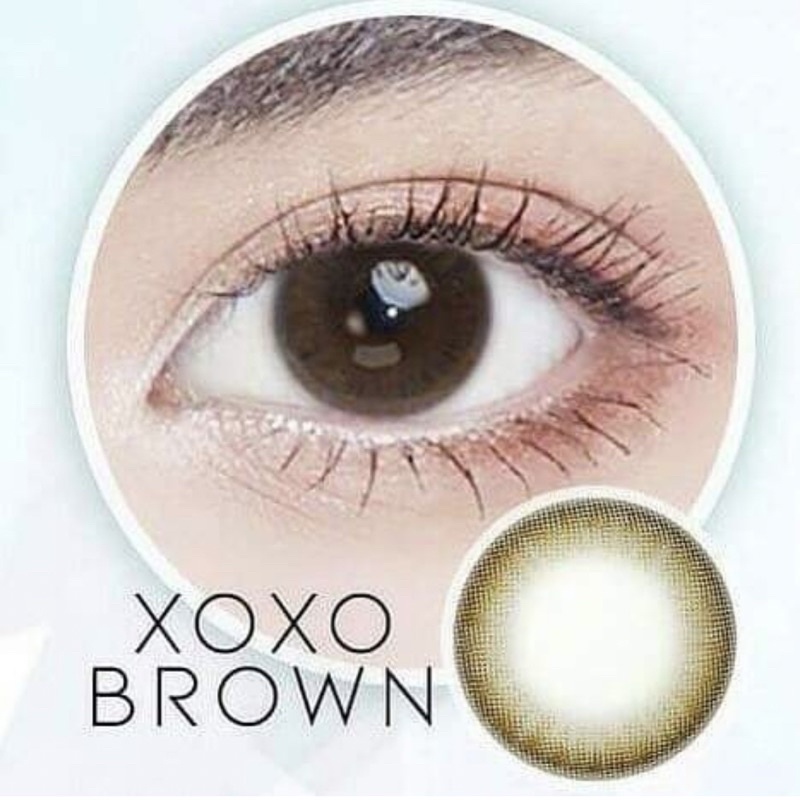 xoxo brown มินิ สีน้ำตาล Contact lens คอนแทคเลนส์ ค่าสายตา -6.00 สายตาสั้น ใส่ไปเรียน Lollipop เท่าตาจริง ฝาเหลือง สุภาพ