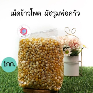 เมล็ดข้าวโพดมัชรูม,เมล็ดข้าวโพดป๊อปคอร์น MUSHROOM/1kg