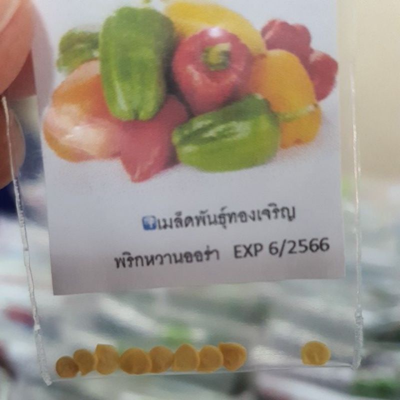 พริกออร่า🌶คละสี📌ถูกที่สุด10บ.📌เมล็ดพันธุ์พริกหวานออร่า 10เมล็ด🌶ปลูกง่าย☘️โตไว🎋ผลดก📌 - รูปที่ 2