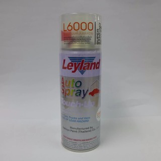 Leyland L6000 ซิลเวอร์รองพื้นไม้และหวาย