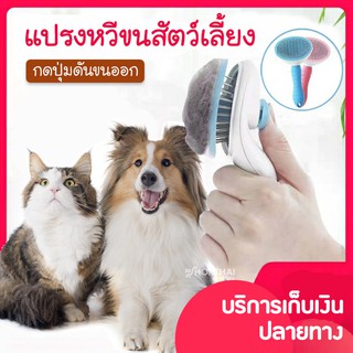 แปรงหวีขนสัตว์เลี้ยงอัจฉริยะ🐶😺 หวีสุนัข หวีแมว หวีแปรงขน แปรงขน สุนัข แมว ปุ่มกดทิ้งขนออกจากแปรงอัตโนมัติ หวีสัตว์