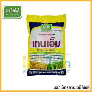 เทนเอ็ม เจียไต๋ 1 กิโลกรัม ป้องกันและกำจัด โรคเมล็ดด่างในข้าว