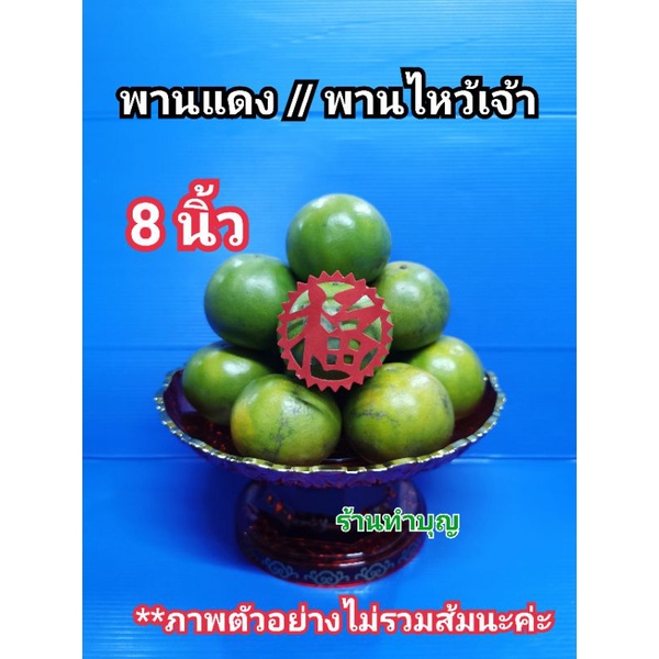 พานแดง พานไหว้เจ้า พานวางผลไม้ พานวางขนม มีอักษรจีนมงคล ร่ำรวย มี 7 ขนาด 4,5,6,7,8,9, 10,12 นำเข้ามาเลเซีย,จีน พร้อมส่ง - รูปที่ 6
