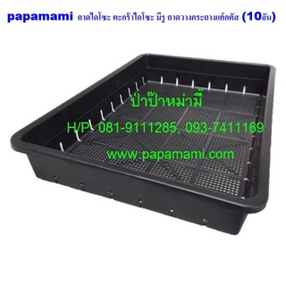 (10ใบ) papamami ถาดไดโซะ ใหญ่ มีรู (กว้าง35.5ซม x ยาว50.5ซม. xสูง8.5ซม.) ถาดเพาะต้นอ่อน ตะกร้าไดโซะ ตะกร้าปลูกต้นไม้ ตะก