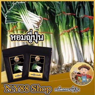 5แถม1เมล็ดต้นหอมญี่ปุ่น 200เมล็ด เมล็ดพันธุ์แท้ นำเข้า สามารถทำพันธู์ต่อได้ ปลูกง่าย โตเร็ว