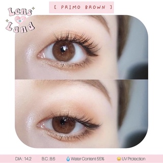 คอนแทคเลนส์รายเดือน รุ่น Primo Brown bylensland