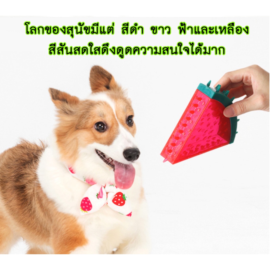 AL-172 Dog Fruit Toy ของเล่นหมา ของเล่นบีบมีเสียง รูปผลไม้ต่างๆ สำหรับสุนัข ของเล่นสุนัขรูป ส้ม สัปปะรด เเตงโม