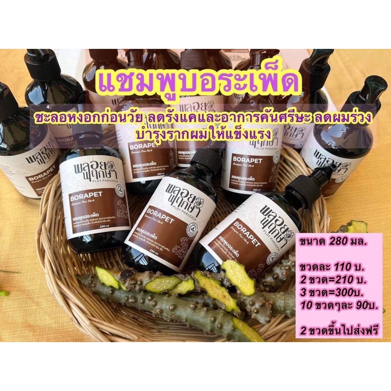 ลดหงอก คันหนังศรีษะ ลดรังแค แชมพูบอระเพ็ด