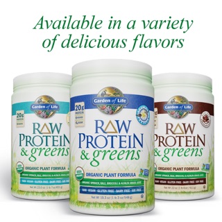 Garden of Life, RAW Protein &amp; Greens, Organic Plant Formula, Vanilla, 19.40 oz (550 g)