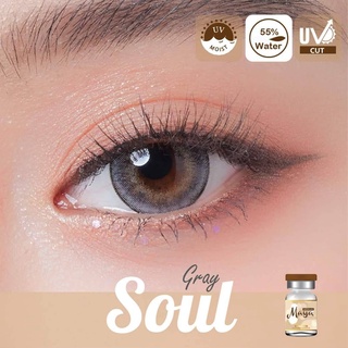 คอนแทคเลนส์ เลนส์นิ่ม ใส่สบาย ค่าอมน้ำ 55% Mayalens Soul Gray-Brown