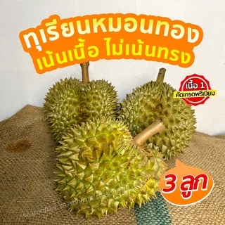 ทุเรียนจันทบุรีเนื้อพรีเมียม ยอดขายเยอะที่สุดทุเรียนหมอนทอง คัดเนื้อเทพไม่เน้นทรง เนื้อเหลือง เนื้อตลาดที่คนไทยกิน