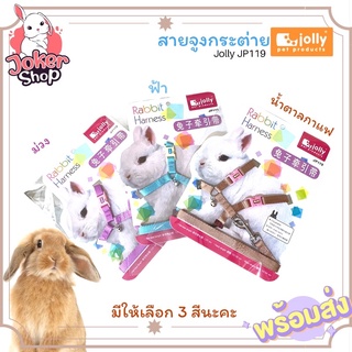 สายจูงกระต่าย ยี่ห้อJolly ปรับขนาดให้เข้ากับตัวน้องได้ค่ะ