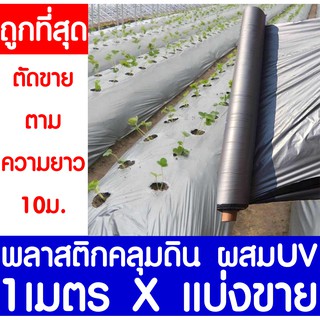 พลาสติกคลุมดิน 1เมตรx10เมตร พลาสติกคลุมแปลง พลาสติกดำ/เงิน พลาสติกกันวัชพืช กันวัชพืช ปลูกผัก ปลูกผลไม้(ไม่เจาะรู)