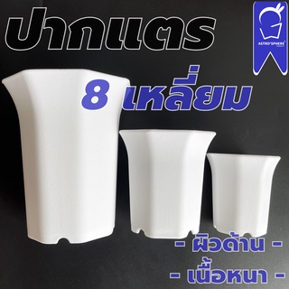 **12 แถม 1** กระถางแคคตัสสีขาว กระถางปากแตร สีขาว กระถางแปดเหลี่ยม สีขาว