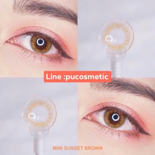 🌞Mini Sunset Brown🌞สายตาปกติ,-0.50,-9.50(kitty kawaii)