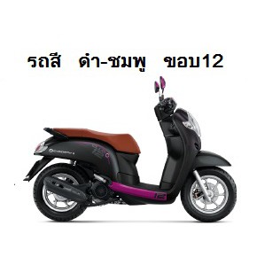 แท้ศูนย์ ชุดสี Scoopy i ปี 2019 เบิกศูนย์ HONDA เฟรม รถ เปลือกรถ เฟรมscoopy (สติ๊กเกอร์ติดมาจากโรงงา
