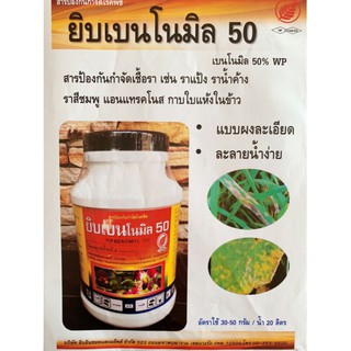 เบโนมิล เชื้อรา ราน้ำค้าง ขอบใบแห้ง