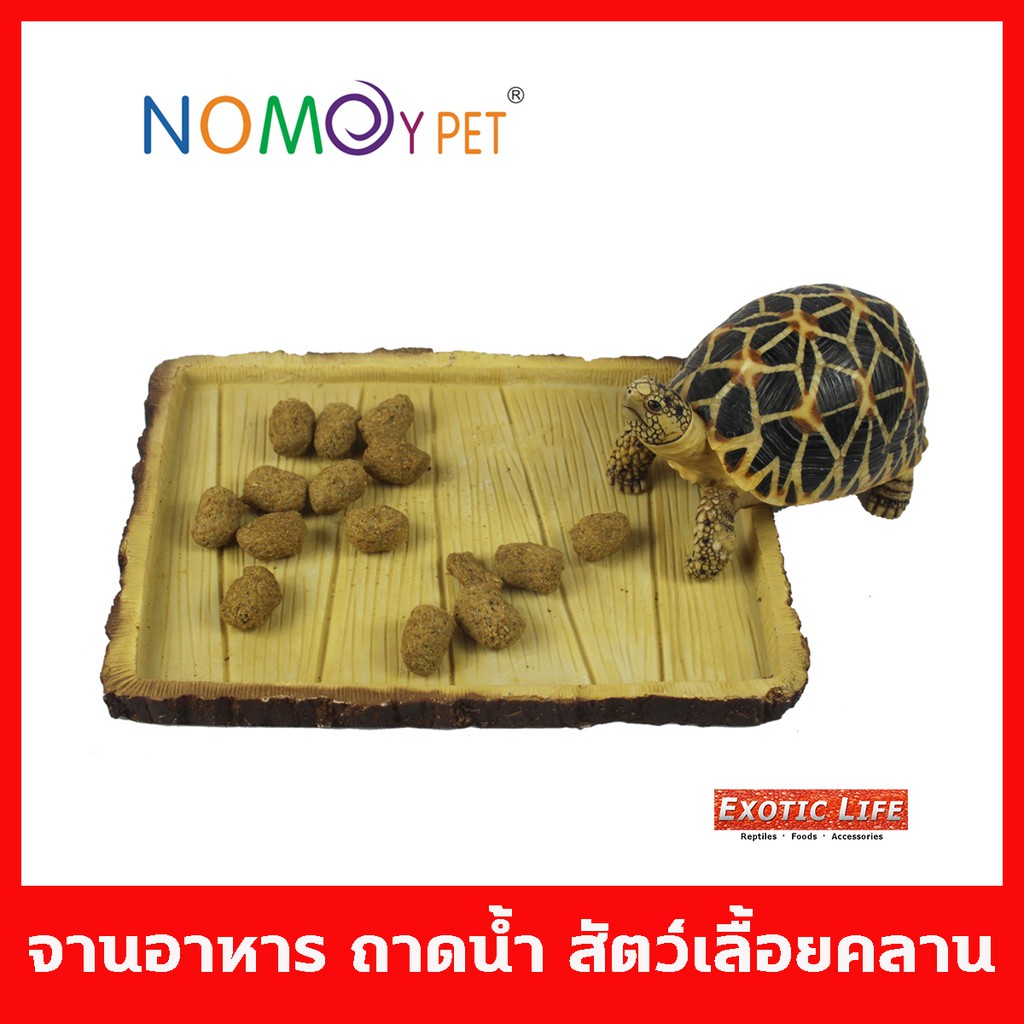จานอาหาร หรือ ถาดน้ำ สำหรับสัตว์เลื้อยคลานและแมลงต่างๆ มีขอบเตี้ย สัตว์สามารถเข้าถึงอาหารได้ง่าย มีหลายแบบ แข็งแรง ทนทาน