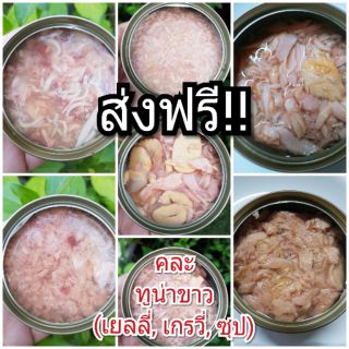 **ส่งฟรี!!** คละทูน่าขาว(เกรวี่, เยลลี่, ซุป) ขนาด 85 กรัม