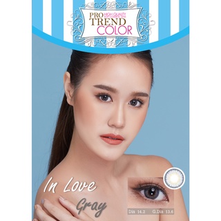 Protrend Color คอนแทคเลนส์ รุ่น In Love Gray