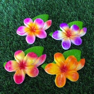 ดอกลีลาวดี แต่งบ้านแต่งสวน ชุด 4 ดอก คละสี