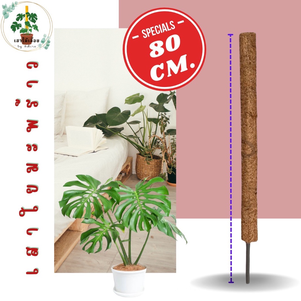 เสาใยมะพร้าว ขนาด 80 CM. หลักไม้เลื้อย หลักค้ำต้นไม้