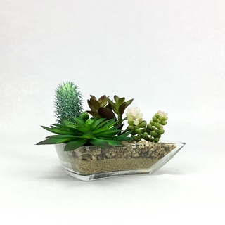 ต้นไม้ประดิษฐ์สไตล์มินิมอล สวนกระบองเพชรปลอม Artificial Succulent plant arrangement in glass