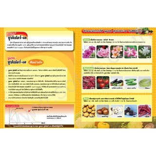 ปุ๋ยทางใบ โพแทสเซียมสูง 1 กก. นูแทค ซุปเปอร์-เค (NUTAC Super-K) ช่วยสะสมอาหาร ออกดอก ติดผล ลดการหลุดร่วง เข้าสี รสชาติดี