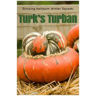 เมล็ด ฟักทองหมวก - Turks Turban Squash