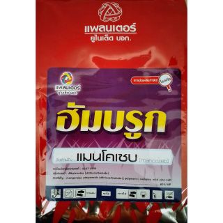 สารป้องกันเชื้อราทุกชนิด อัมบรูก ขนาด 1 กก.