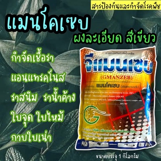 ☘️จีแมนเซบ แมนโคเซบ สีเขียว สารป้องกันกำจัดเชื้อรา ราน้ำค้าง ราสนิม ใบจุด ราเขม่า กาบใบ ผลเน่า