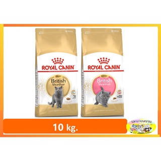 Royal Canin Kitten ฺBritish Shorthair  10kg