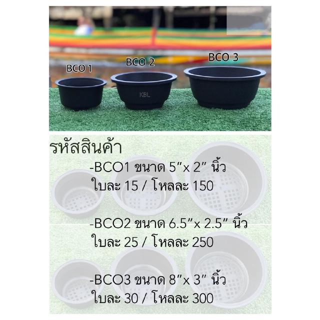BC กระถางต้นไม้แคคตัส มี 3 ขนาด 1 โหล