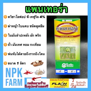 แพนเทอร่า ขนาด 1 ลิตร โซตัส ควิซาโลฟอป - พี - เทฟูริล กำจัดใบแคบ เช่น หญ้าแพรก หญ้าโขย่ง  ใช้ในผักใบกว้าง พริก ถั่ว