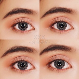 Xxx Gray บิ๊กอาย สีเทา ทรีโทน เทา 💋 Pitchy Lens ค่าอมน้ำ38% Contact Lens Bigeyes คอนแทคเลนส์ แฟชั่น