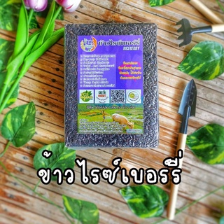 ส่งฟรี‼️🌾ข้าวต้านมะเร็ง และเหมาะสำหรับผู้ป่วยเบาหวาน 💖 ลดน้ำหนัก !!!