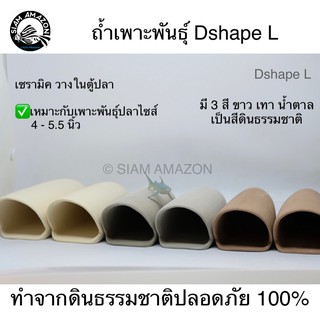 ถ้ำเพาะพันธุ์ Dshape L / Pleco Breeding Caves Shape size L #DL