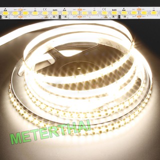 SMD 5730 LED Light Strip ไฟริบบิ้น ยาว 9 เมตร IP65 กันน้ำ 220VAC แสงวอร์ม พร้อมหัวจ่ายไฟ