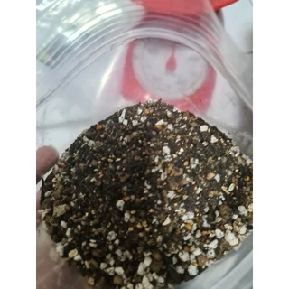 ดินปลูกแคคตัส🌵สูตรโปร่งมาก+เร่งดอก🌸พร้อมปลูก1 kg.🏆ตรงปก🏆(รากเดินดี เร่งดอก แคคตัส ไม้อวบน้ำบัวบกโขด และต้นไม้อื่นๆ